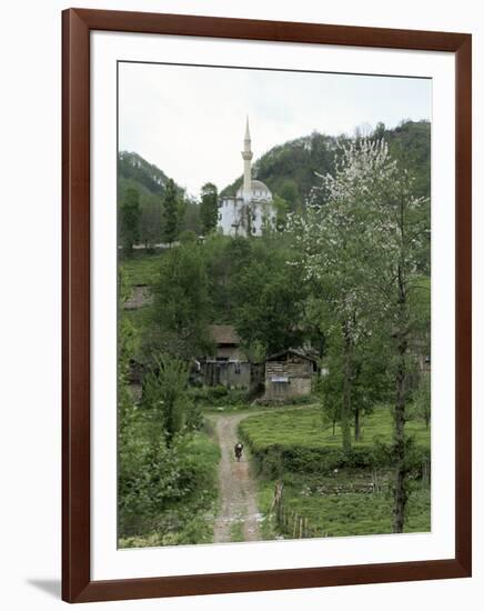 Tea Plantations and Almond Blossom in Coastal Region, Trabzon Area, Anatolia, Turkey-Adam Woolfitt-Framed Photographic Print