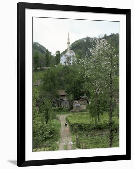 Tea Plantations and Almond Blossom in Coastal Region, Trabzon Area, Anatolia, Turkey-Adam Woolfitt-Framed Photographic Print