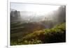 Tea Plantations and Road, Munnar, Western Ghats, Kerala, South India-Peter Adams-Framed Photographic Print