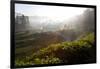 Tea Plantations and Road, Munnar, Western Ghats, Kerala, South India-Peter Adams-Framed Photographic Print