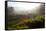 Tea Plantations and Road, Munnar, Western Ghats, Kerala, South India-Peter Adams-Framed Stretched Canvas