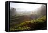 Tea Plantations and Road, Munnar, Western Ghats, Kerala, South India-Peter Adams-Framed Stretched Canvas