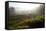 Tea Plantations and Road, Munnar, Western Ghats, Kerala, South India-Peter Adams-Framed Stretched Canvas