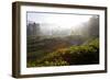 Tea Plantations and Road, Munnar, Western Ghats, Kerala, South India-Peter Adams-Framed Photographic Print