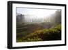 Tea Plantations and Road, Munnar, Western Ghats, Kerala, South India-Peter Adams-Framed Photographic Print