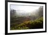 Tea Plantations and Road, Munnar, Western Ghats, Kerala, South India-Peter Adams-Framed Photographic Print