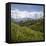 Tea Plantations in the Hill Country, Sri Lanka, Asia-Charlie Harding-Framed Stretched Canvas