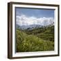 Tea Plantations in the Hill Country, Sri Lanka, Asia-Charlie Harding-Framed Premium Photographic Print