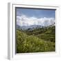 Tea Plantations in the Hill Country, Sri Lanka, Asia-Charlie Harding-Framed Premium Photographic Print