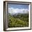 Tea Plantations in the Hill Country, Sri Lanka, Asia-Charlie Harding-Framed Photographic Print