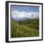 Tea Plantations in the Hill Country, Sri Lanka, Asia-Charlie Harding-Framed Photographic Print