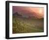 Tea Plantations, Munnar, Western Ghats, Kerala, India-Michele Falzone-Framed Premium Photographic Print