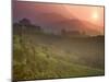 Tea Plantations, Munnar, Western Ghats, Kerala, India-Michele Falzone-Mounted Premium Photographic Print