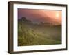 Tea Plantations, Munnar, Western Ghats, Kerala, India-Michele Falzone-Framed Photographic Print