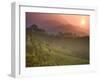 Tea Plantations, Munnar, Western Ghats, Kerala, India-Michele Falzone-Framed Photographic Print