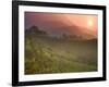 Tea Plantations, Munnar, Western Ghats, Kerala, India-Michele Falzone-Framed Photographic Print