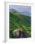 Tea Plantations, Munnar, Western Ghats, Kerala, India-Michele Falzone-Framed Photographic Print