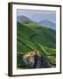 Tea Plantations, Munnar, Western Ghats, Kerala, India-Michele Falzone-Framed Photographic Print