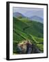 Tea Plantations, Munnar, Western Ghats, Kerala, India-Michele Falzone-Framed Photographic Print