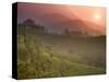 Tea Plantations, Munnar, Western Ghats, Kerala, India-Michele Falzone-Stretched Canvas