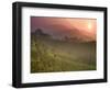 Tea Plantations, Munnar, Western Ghats, Kerala, India-Michele Falzone-Framed Photographic Print