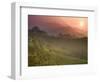 Tea Plantations, Munnar, Western Ghats, Kerala, India-Michele Falzone-Framed Photographic Print