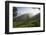 Tea Plantations, Munnar, Western Ghats, Kerala, South India-Peter Adams-Framed Photographic Print