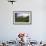 Tea Plantations, Munnar, Western Ghats, Kerala, South India-Peter Adams-Framed Photographic Print displayed on a wall