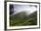 Tea Plantations, Munnar, Western Ghats, Kerala, South India-Peter Adams-Framed Photographic Print