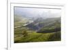 Tea Plantations, Munnar, Western Ghats, Kerala, South India-Peter Adams-Framed Photographic Print