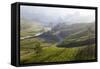 Tea Plantations, Munnar, Western Ghats, Kerala, South India-Peter Adams-Framed Stretched Canvas