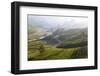 Tea Plantations, Munnar, Western Ghats, Kerala, South India-Peter Adams-Framed Photographic Print