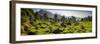 Tea plantations, Munnar, Western Ghats Mountains, Kerala, India, Asia-Photo Escapes-Framed Photographic Print