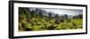 Tea plantations, Munnar, Western Ghats Mountains, Kerala, India, Asia-Photo Escapes-Framed Photographic Print