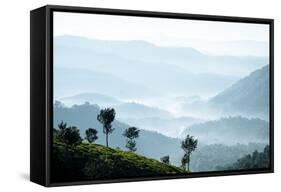 Tea Plantations Near Munnar, Kerala, India, South Asia-Ben Pipe-Framed Stretched Canvas