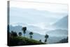 Tea Plantations Near Munnar, Kerala, India, South Asia-Ben Pipe-Stretched Canvas