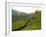 Tea Plantations Near Munnar, Kerala, India, South Asia-Ben Pipe-Framed Photographic Print