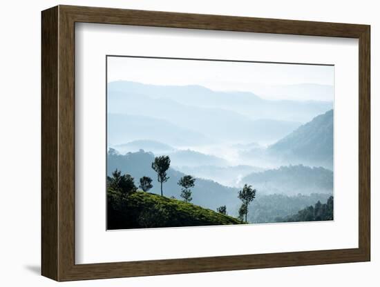 Tea Plantations Near Munnar, Kerala, India, South Asia-Ben Pipe-Framed Photographic Print