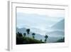 Tea Plantations Near Munnar, Kerala, India, South Asia-Ben Pipe-Framed Photographic Print