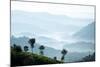 Tea Plantations Near Munnar, Kerala, India, South Asia-Ben Pipe-Mounted Photographic Print