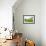 Tea Plantations-Liang Zhang-Framed Photographic Print displayed on a wall