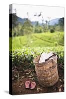 Tea Pluckers Basket and Shoes at a Tea Plantation-Matthew Williams-Ellis-Stretched Canvas