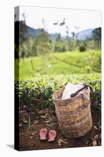 Tea Pluckers Basket and Shoes at a Tea Plantation-Matthew Williams-Ellis-Stretched Canvas