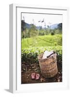 Tea Pluckers Basket and Shoes at a Tea Plantation-Matthew Williams-Ellis-Framed Photographic Print