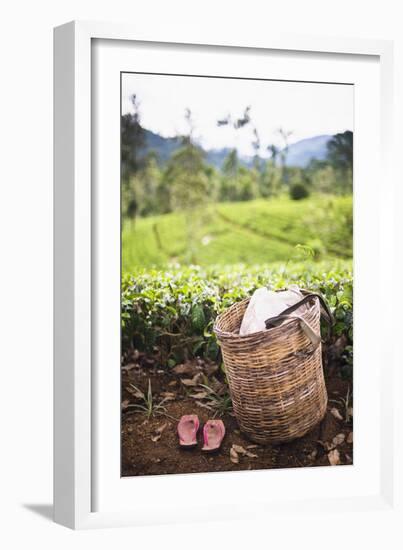 Tea Pluckers Basket and Shoes at a Tea Plantation-Matthew Williams-Ellis-Framed Photographic Print