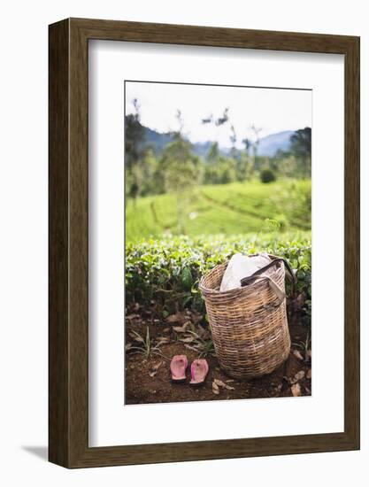 Tea Pluckers Basket and Shoes at a Tea Plantation-Matthew Williams-Ellis-Framed Photographic Print