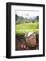 Tea Pluckers Basket and Shoes at a Tea Plantation-Matthew Williams-Ellis-Framed Photographic Print