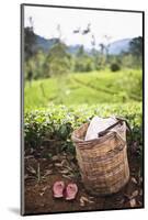 Tea Pluckers Basket and Shoes at a Tea Plantation-Matthew Williams-Ellis-Mounted Photographic Print