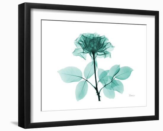 Tea Rose 1-Albert Koetsier-Framed Art Print