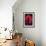 Tea Rose 3B-Scott J. Davis-Framed Giclee Print displayed on a wall